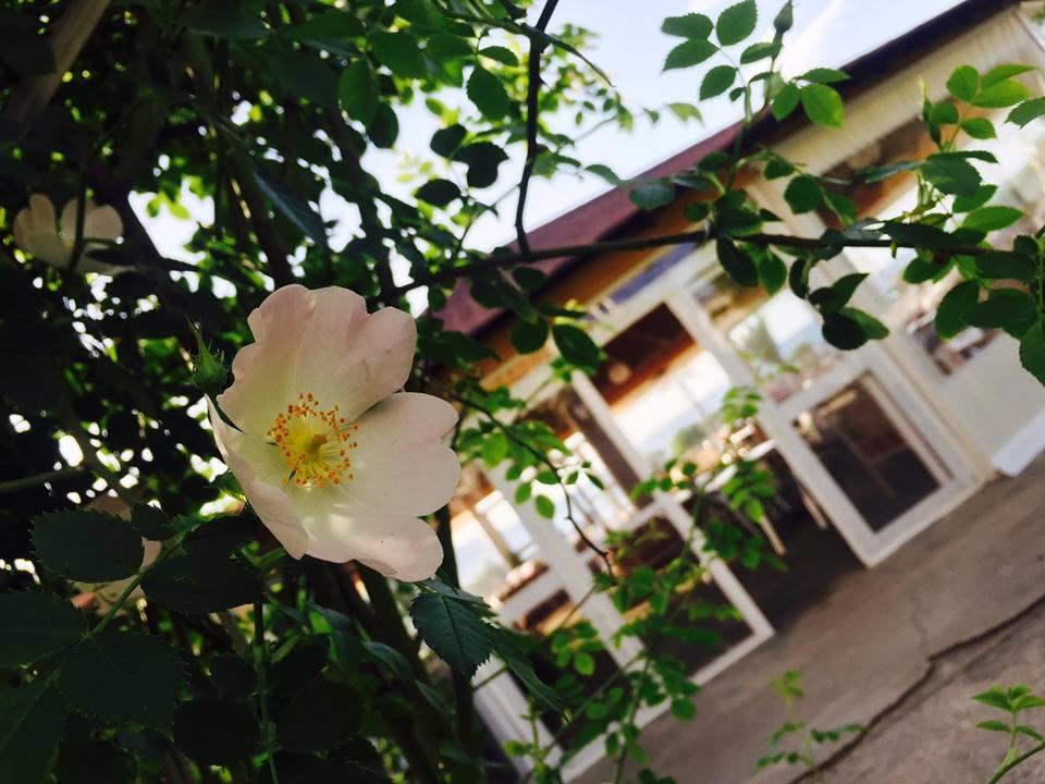 Kompleksi Turistik Edir Orikum Esterno foto