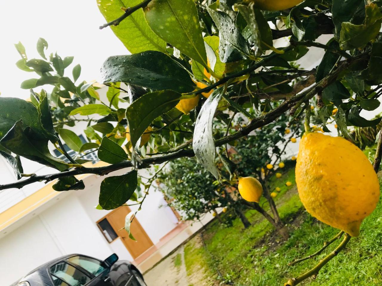 Kompleksi Turistik Edir Orikum Esterno foto