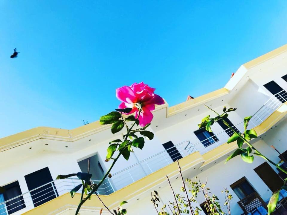 Kompleksi Turistik Edir Orikum Esterno foto